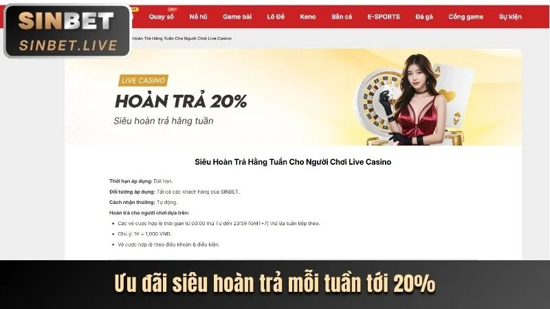 Hỗ trợ Trực Tuyến Live Chat